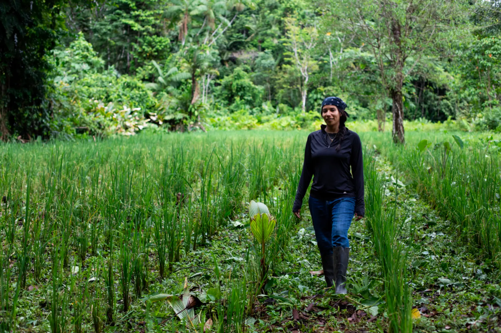 Yura Sapi walking through a green field