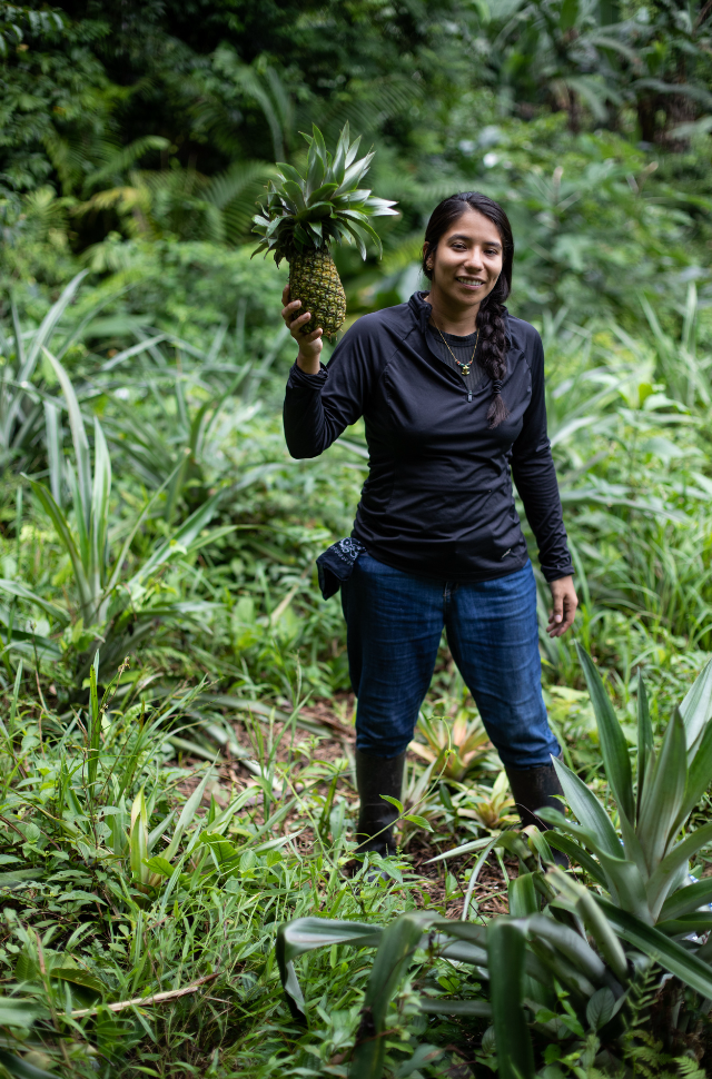 Yura Sapi holding a fresh pineapple in a lush tropical garden